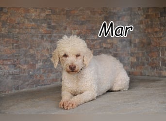 Schenkst du Mar die Chance auf einen Neuanfang?