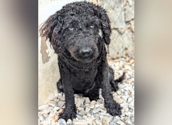 KANO möchte ankommen