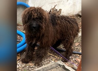 Kasper sucht erfahrene Menschen