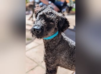 Kasper sucht erfahrene Menschen