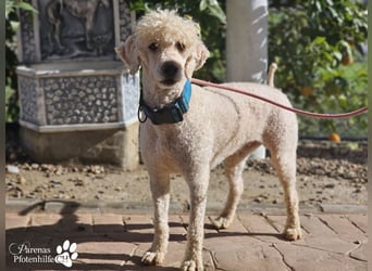 Lukas ist pure Lebensfreude und sehr anhänglich