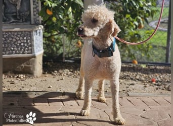 Lukas ist pure Lebensfreude und sehr anhänglich