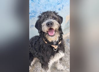 ❤️ TIMOTEO❤️