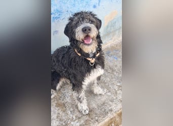 ❤️ TIMOTEO❤️