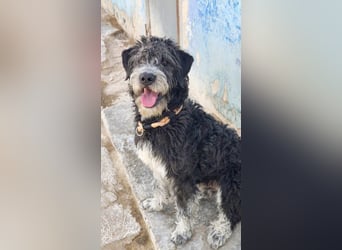 ❤️ TIMOTEO❤️