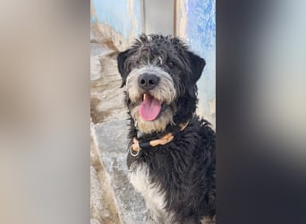 ❤️ TIMOTEO❤️