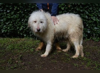 Menodoro - Einfach groß(artig)!