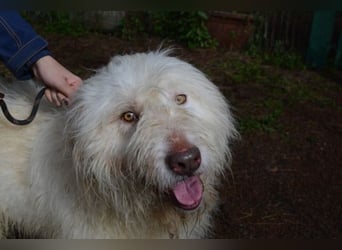 Menodoro - Einfach groß(artig)!