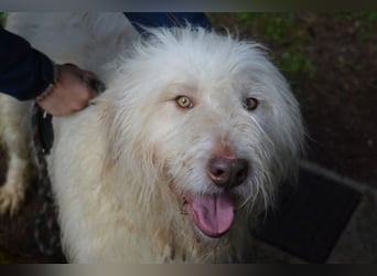 Menodoro - Einfach groß(artig)!