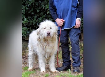 Menodoro - Einfach groß(artig)!