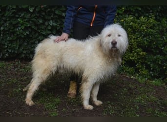 Menodoro - Einfach groß(artig)!