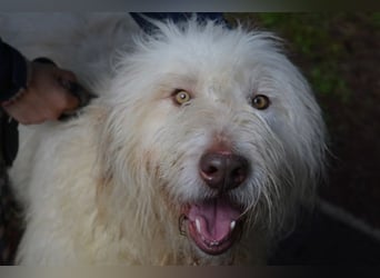 Menodoro - Einfach groß(artig)!