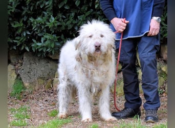 Menodoro - Einfach groß(artig)!