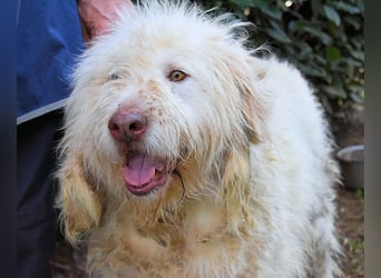 Menodoro - Einfach groß(artig)!