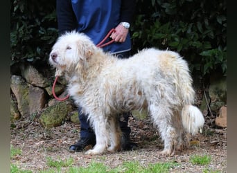 Menodoro - Einfach groß(artig)!