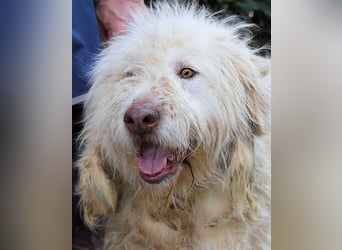 Menodoro - Einfach groß(artig)!