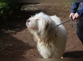 Menodoro - Einfach groß(artig)!