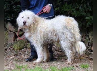 Menodoro - Einfach groß(artig)!