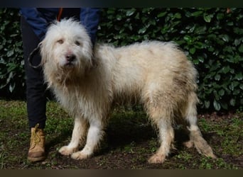 Menodoro - Einfach groß(artig)!