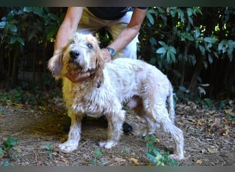 Faryd - hätte er nicht endlich irgendwo ankommen dürfen?