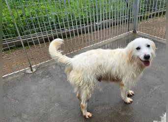 Unsere Schneeflocke möchte bei dir landen