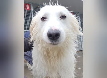 Unsere Schneeflocke möchte bei dir landen