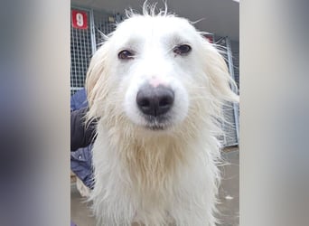 Unsere Schneeflocke möchte bei dir landen