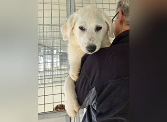 Knutschkugel Nuvola wartet auf dich !