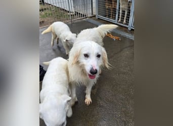 Unsere Schneeflocke möchte bei dir landen