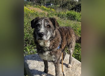 Luke: beeindruckt mit Ruhe und Gelassenheit