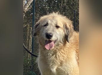 Eva - Voller Tatendrang in eine gute Zukunft