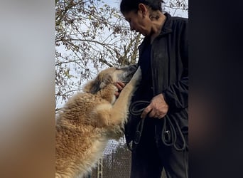 Eva - Voller Tatendrang in eine gute Zukunft