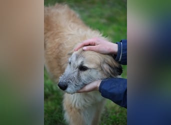 Eva - Voller Tatendrang in eine gute Zukunft