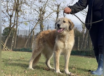 Eva - Die Zeiten ändern sich