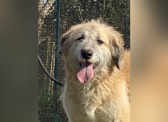 Eva - Die Zeiten ändern sich