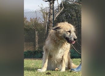 Eva - Voller Tatendrang in eine gute Zukunft