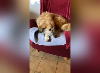 Eva - Voller Tatendrang in eine gute Zukunft