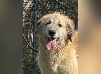 Eva - Voller Tatendrang in eine gute Zukunft