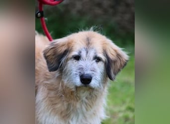 Eva - Voller Tatendrang in eine gute Zukunft