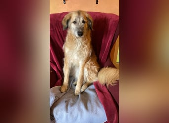 Eva - Voller Tatendrang in eine gute Zukunft