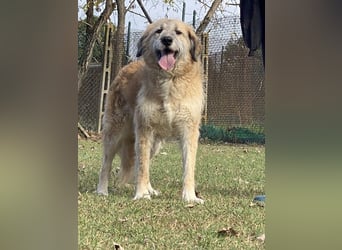 Eva - Voller Tatendrang in eine gute Zukunft