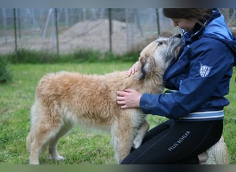 Eva - Voller Tatendrang in eine gute Zukunft