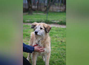 Eva - Voller Tatendrang in eine gute Zukunft