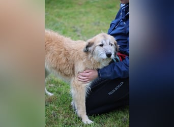 Eva - Voller Tatendrang in eine gute Zukunft