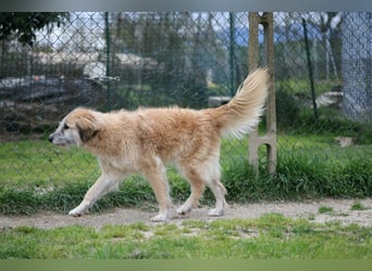 Eva - Voller Tatendrang in eine gute Zukunft