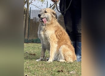 Eva - Voller Tatendrang in eine gute Zukunft