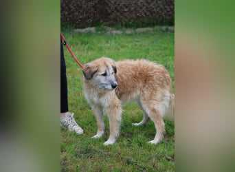 Eva - Voller Tatendrang in eine gute Zukunft