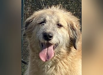 Eva - Die Zeiten ändern sich