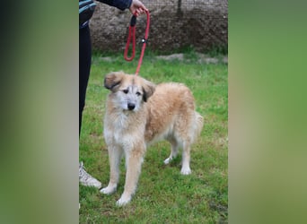 Eva - Voller Tatendrang in eine gute Zukunft