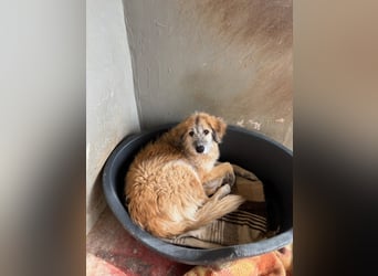 Eva - Voller Tatendrang in eine gute Zukunft